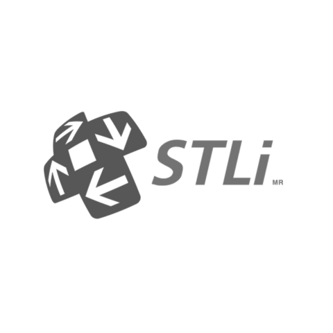 stli-sergio-motles-consultor